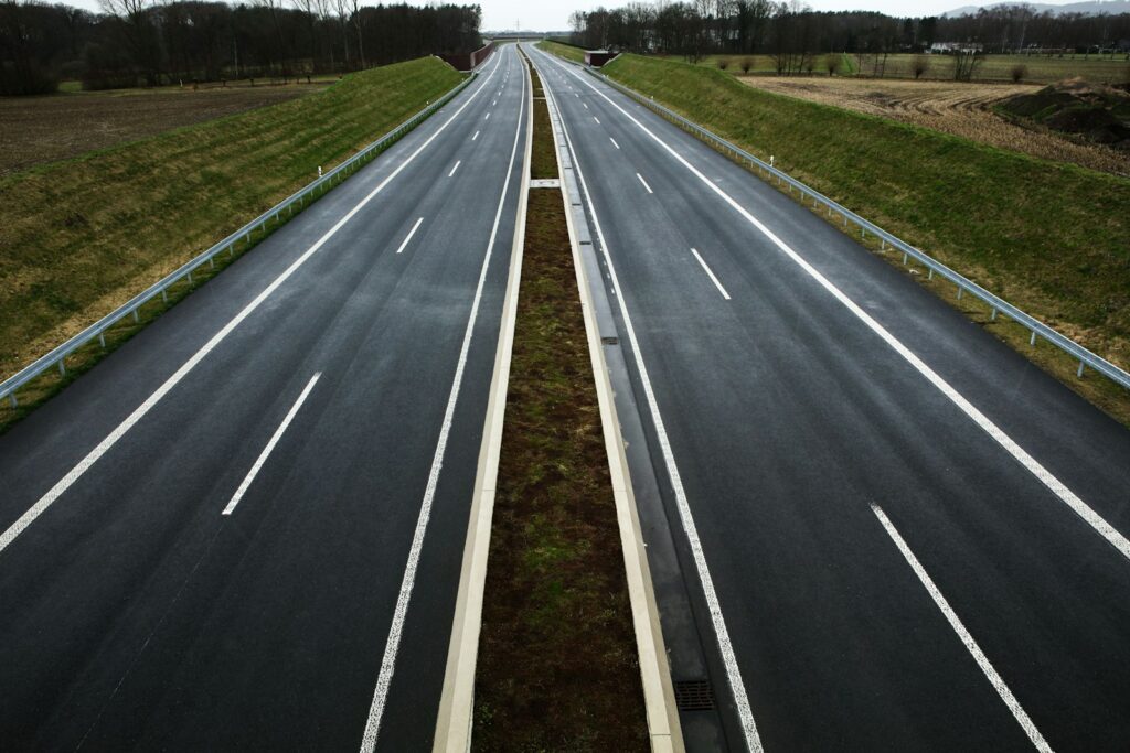 grasses beside road